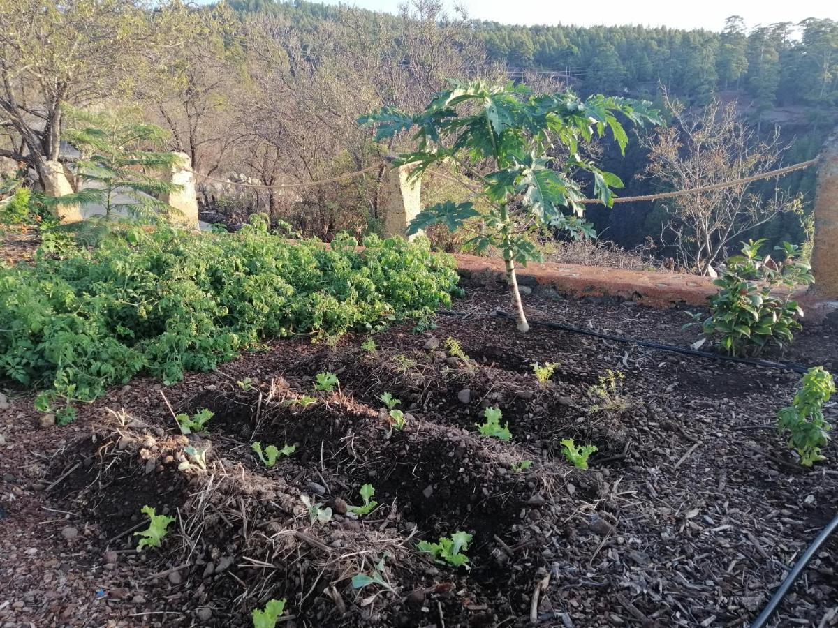 Alma Villa Garafía Kültér fotó
