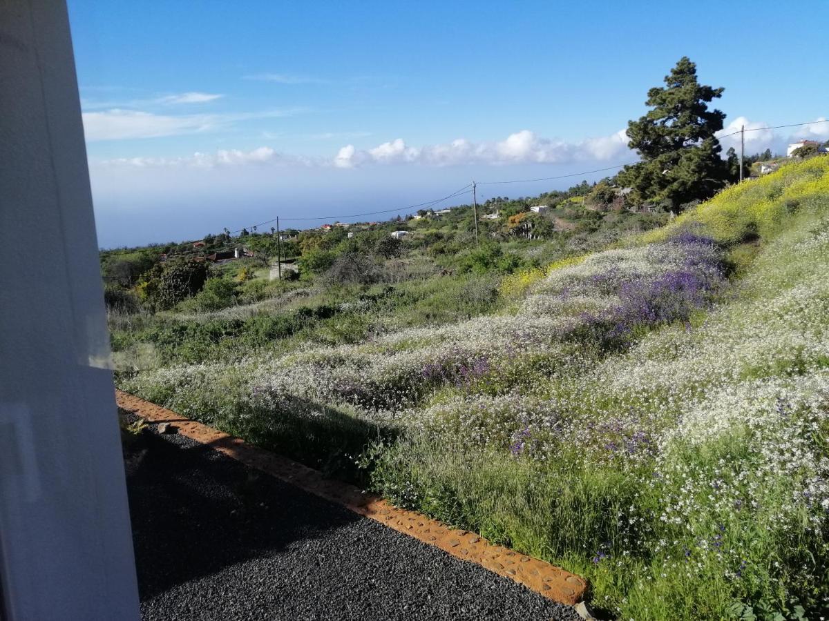 Alma Villa Garafía Kültér fotó